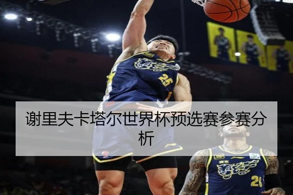 谢里夫卡塔尔世界杯预选赛参赛分析